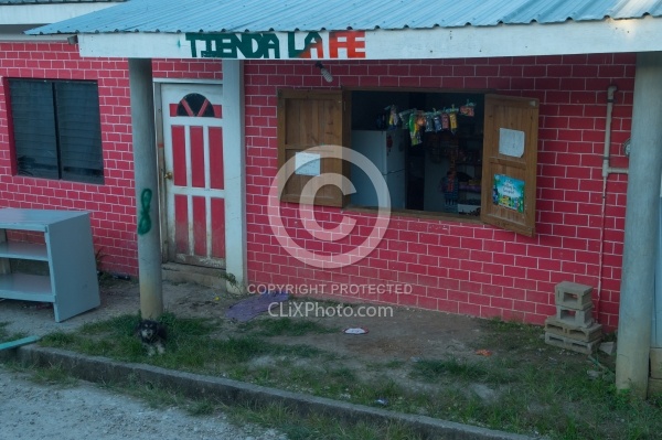 Riding Through Town with Hanna Stables