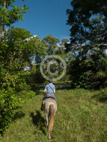 Riding Through Town with Hanna Stables