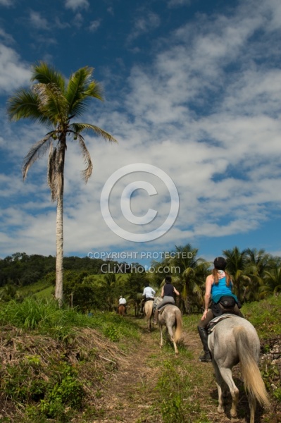 On the Trails with Hanna Stables