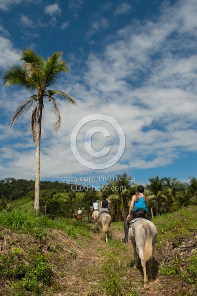 On the Trails with Hanna Stables
