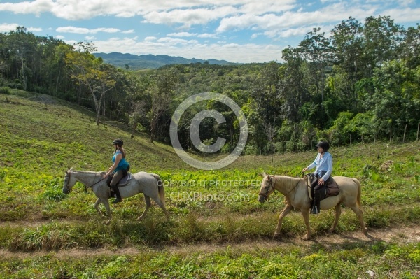 On the Trails with Hanna Stables
