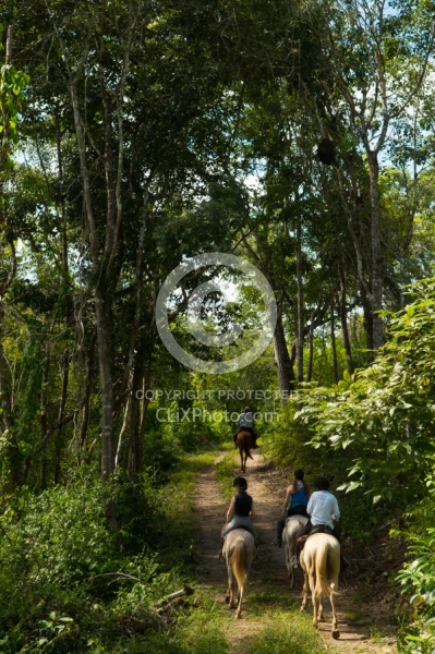 On the Trails with Hanna Stables