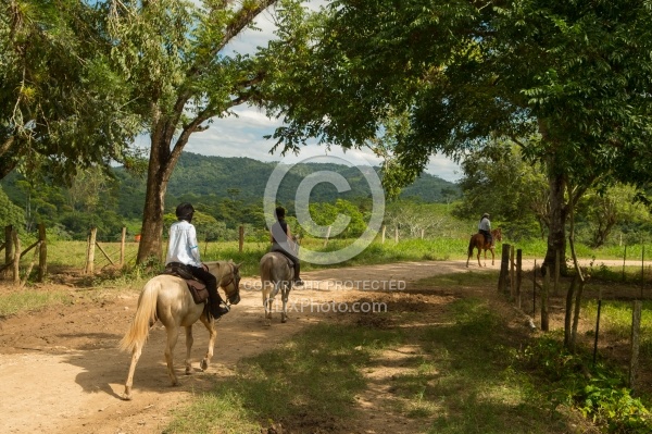 On the Trails with Hanna Stables