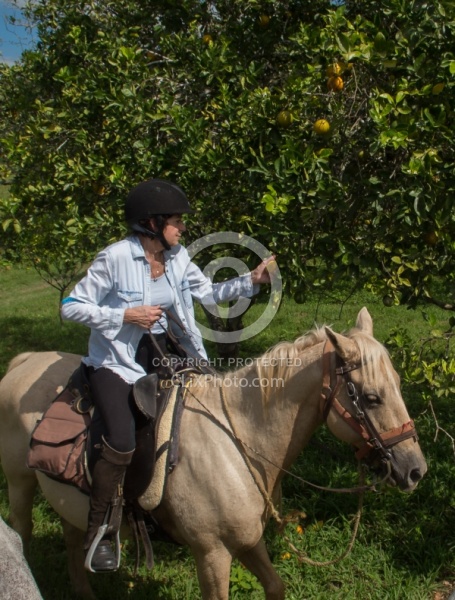 On the Trails with Hanna Stables
