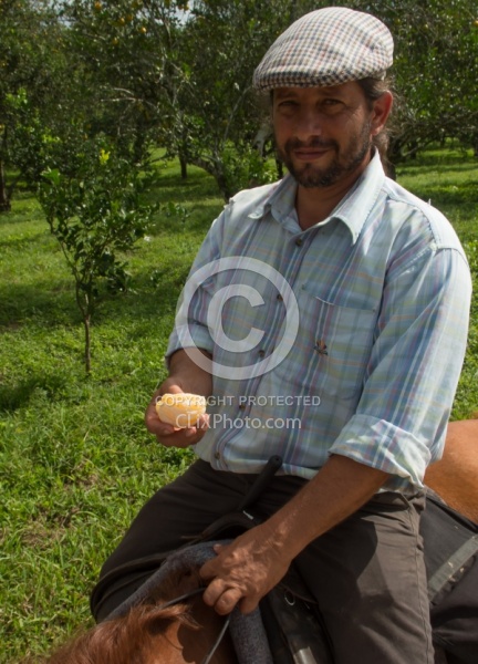 On the Trails with Hanna Stables