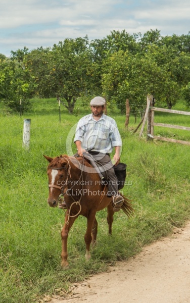 On the Trails with Hanna Stables