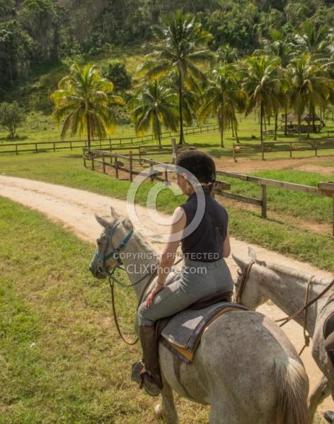 On the Trails with Hanna Stables
