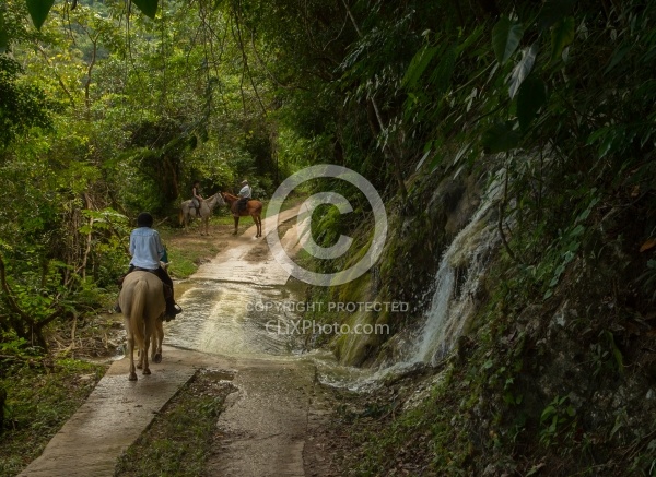 On the Trails with Hanna Stables