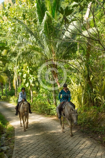 On the Trails with Hanna Stables