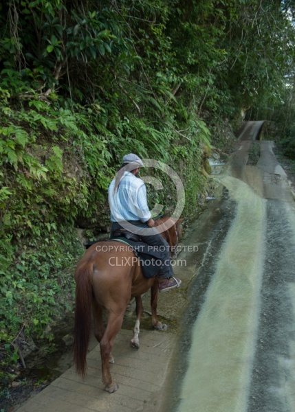 On the Trails with Hanna Stables