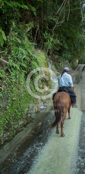On the Trails with Hanna Stables