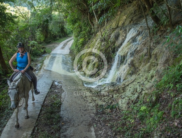 On the Trails with Hanna Stables