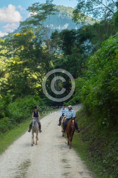 On the Trails with Hanna Stables