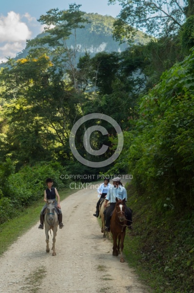 On the Trails with Hanna Stables