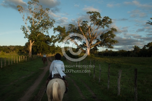 On the Trails with Hanna Stables