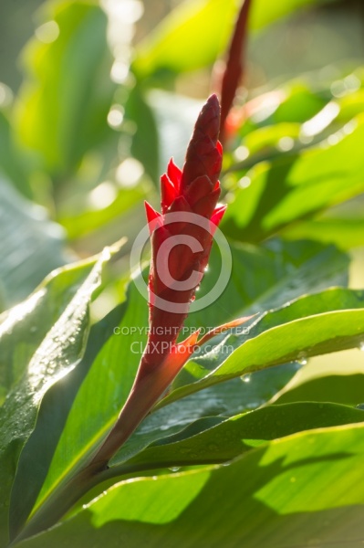 Mountain Equestrian Trails