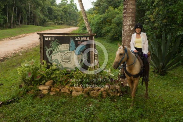 Mountain Equestrian Trails