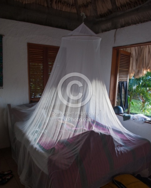 Mountain Equestrian Trails