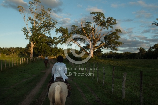 Hanna Stables Nabitunich