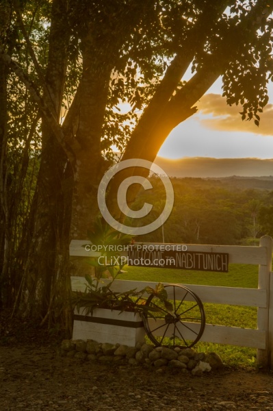 Hanna Stables Nabitunich