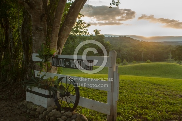 Hanna Stables Nabitunich