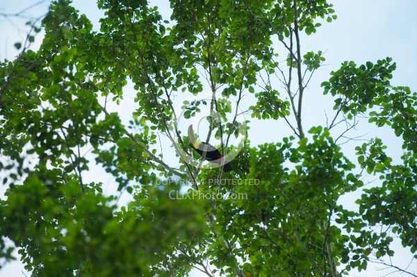 Hanna Stables Nabitunich