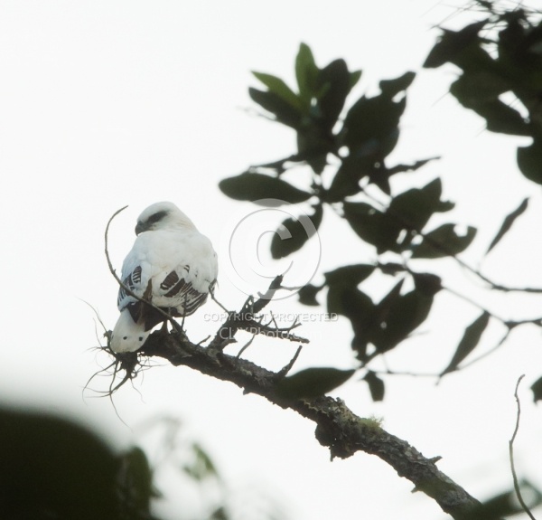 On the Trails with MET