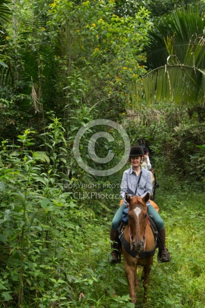 On the Trails with MET