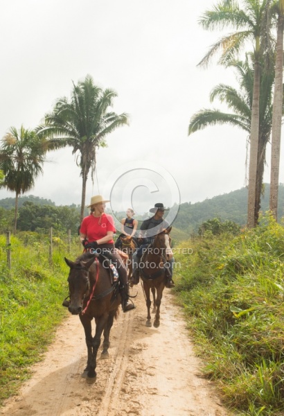 On the Trails with MET