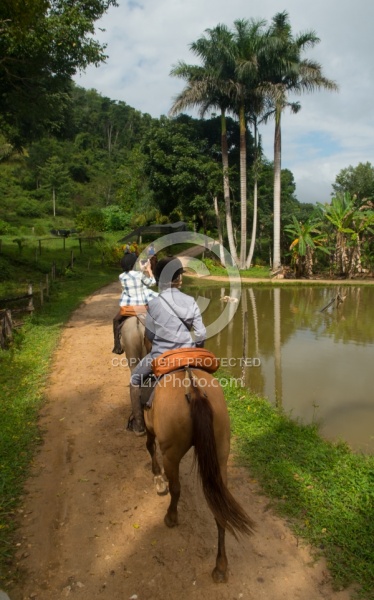 On the Trails with MET