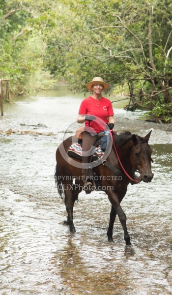 On the Trails with MET