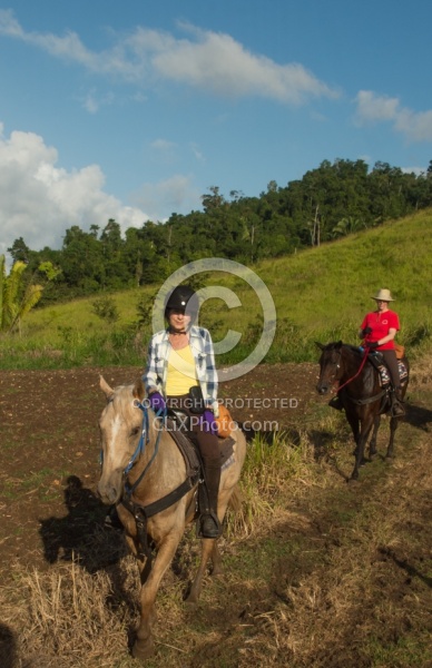 On the Trails with MET