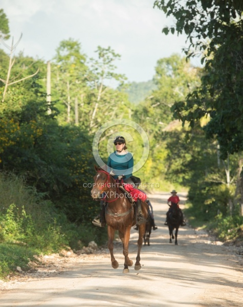 On the Trails with MET