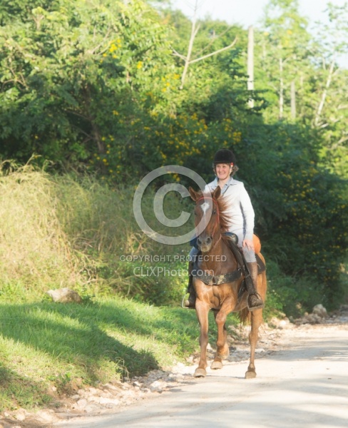 On the Trails with MET