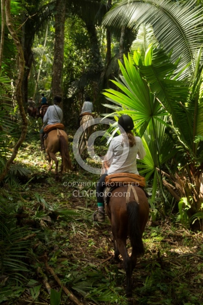 On the Trails with MET