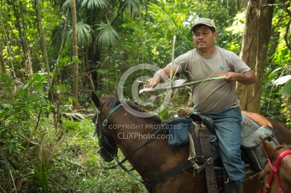 On the Trails with MET