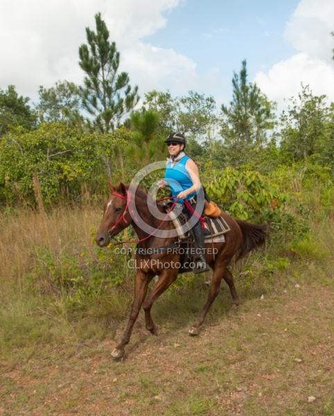 On the Trails with MET