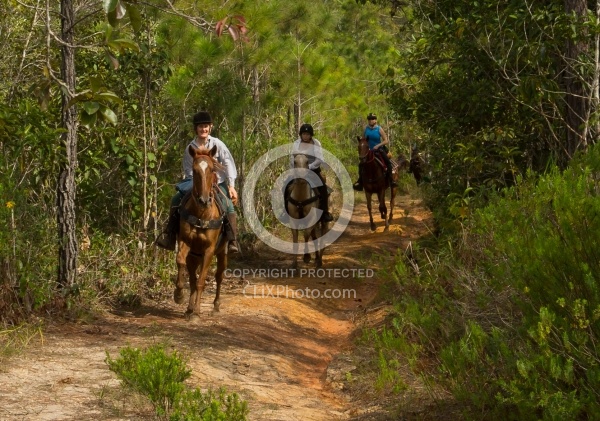 On the Trails with MET