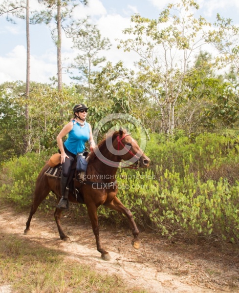 On the Trails with MET