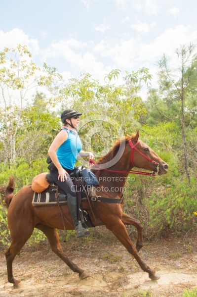 On the Trails with MET