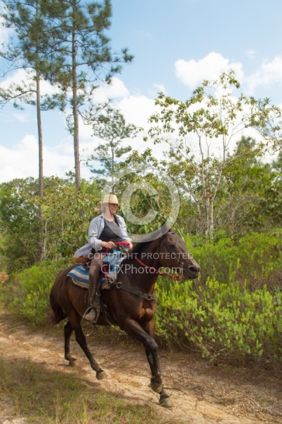 On the Trails with MET