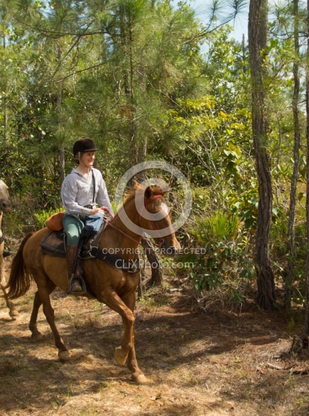 On the Trails with MET