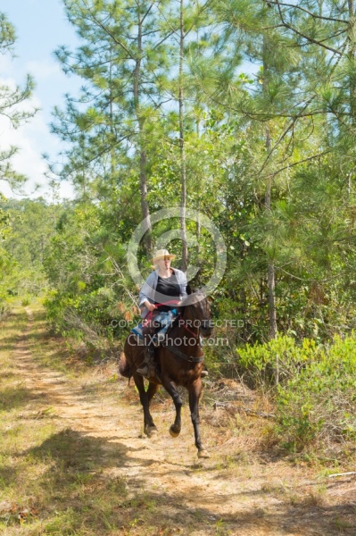 On the Trails with MET