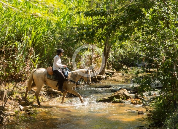 On the Trails with MET