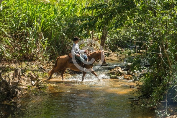 On the Trails with MET
