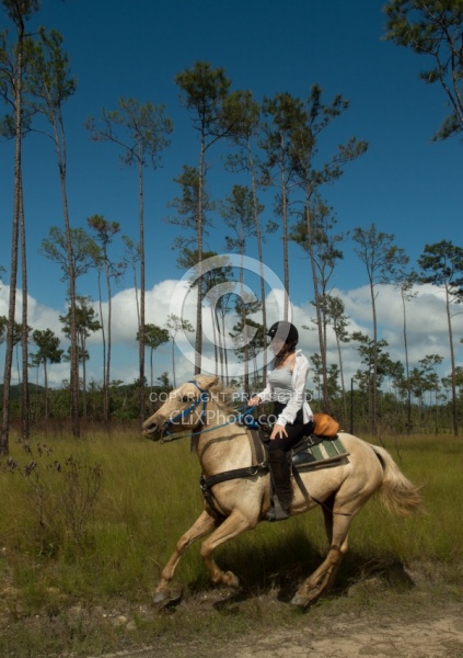 On the Trails with MET