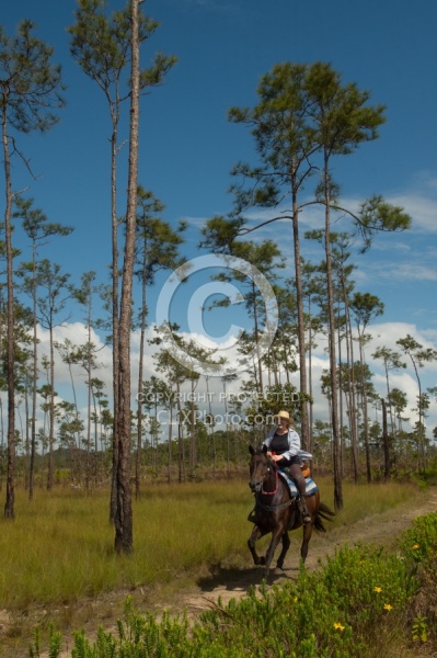 On the Trails with MET