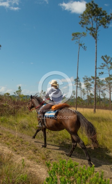On the Trails with MET