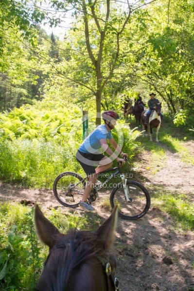 Bikes On the Trails at Horse Country Campground