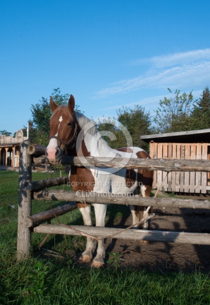 Corral at Horse Country Campground